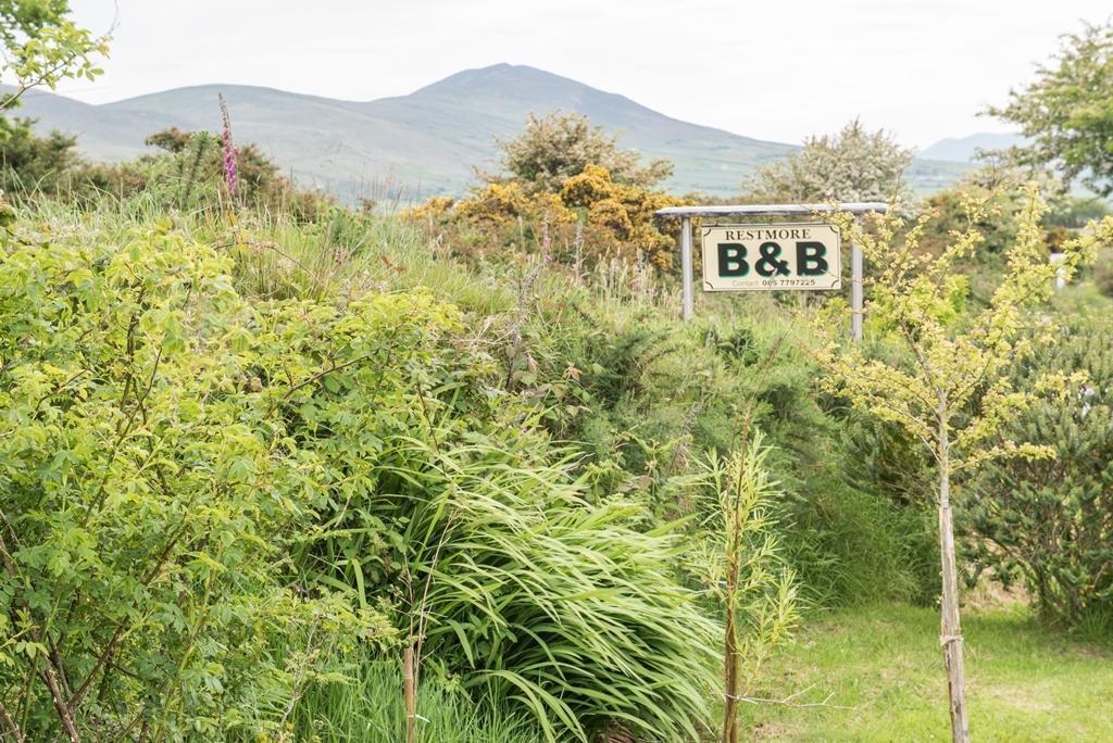 Restmore B&B Anascaul Buitenkant foto